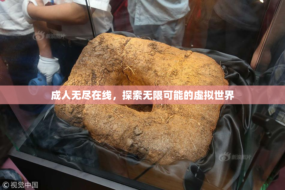 成人无尽在线，探索无限可能的虚拟世界