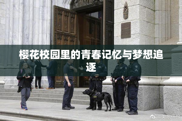 樱花校园里的青春记忆与梦想追逐