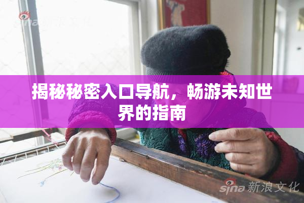 揭秘秘密入口导航，畅游未知世界的指南
