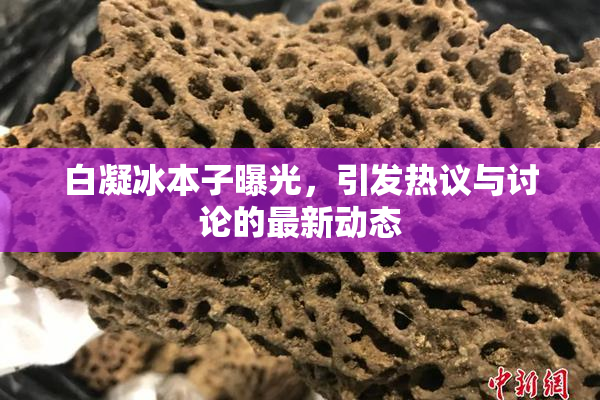 白凝冰本子曝光，引发热议与讨论的最新动态