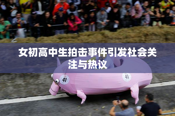 女初高中生拍击事件引发社会关注与热议