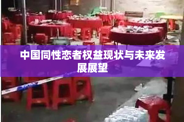 中国同性恋者权益现状与未来发展展望