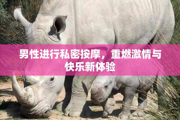 男性进行私密按摩，重燃激情与快乐新体验