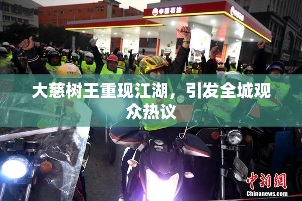 大慈树王重现江湖，引发全城观众热议