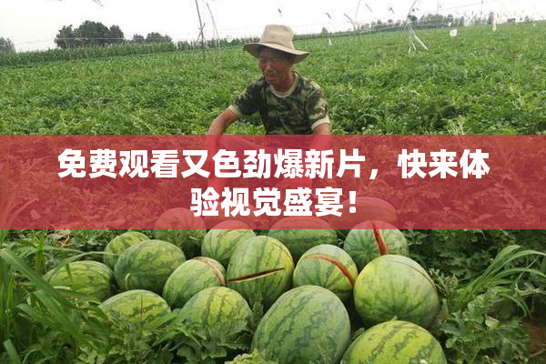 免费观看又色劲爆新片，快来体验视觉盛宴！