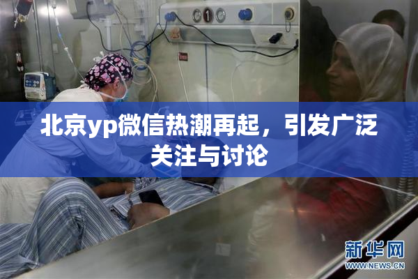 北京yp微信热潮再起，引发广泛关注与讨论