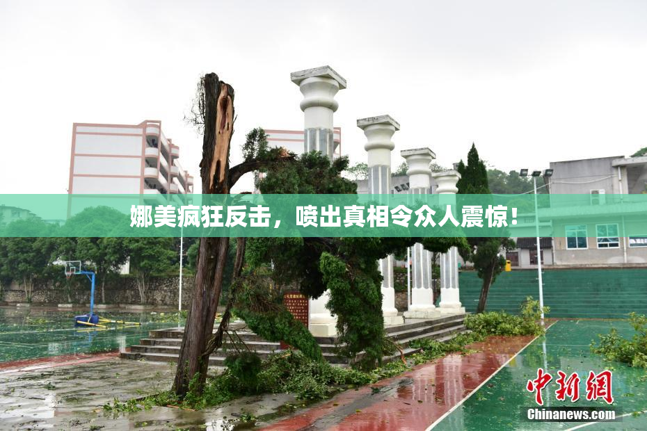 娜美疯狂反击，喷出真相令众人震惊！