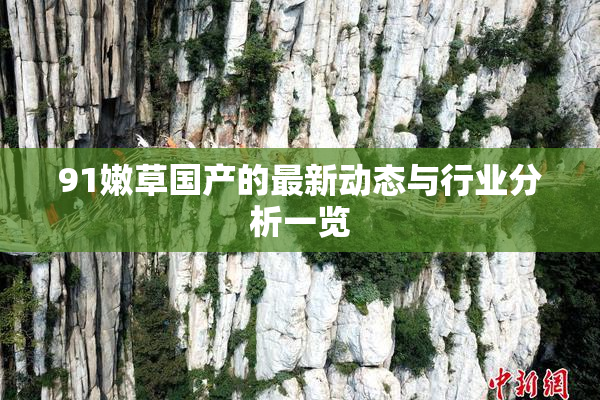 91嫩草国产的最新动态与行业分析一览