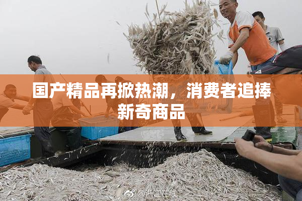 国产精品再掀热潮，消费者追捧新奇商品