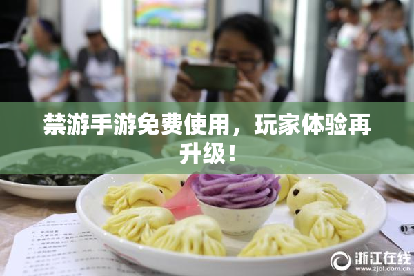禁游手游免费使用，玩家体验再升级！