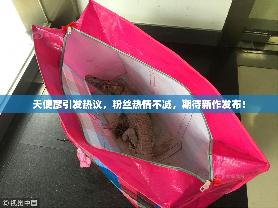 天使彦引发热议，粉丝热情不减，期待新作发布！