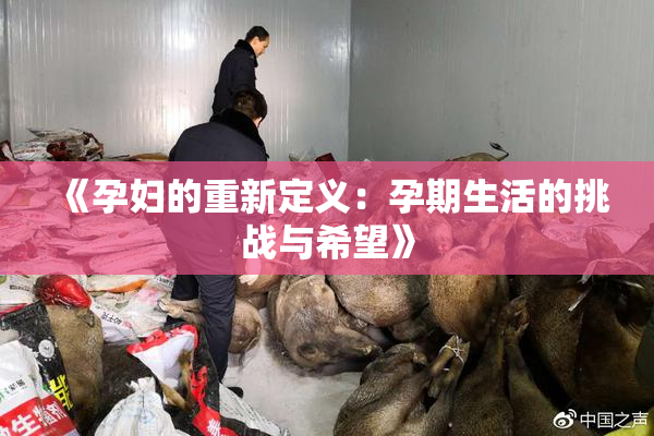 《孕妇的重新定义：孕期生活的挑战与希望》