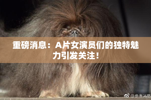重磅消息：A片女演员们的独特魅力引发关注！