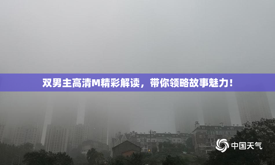 双男主高清M精彩解读，带你领略故事魅力！