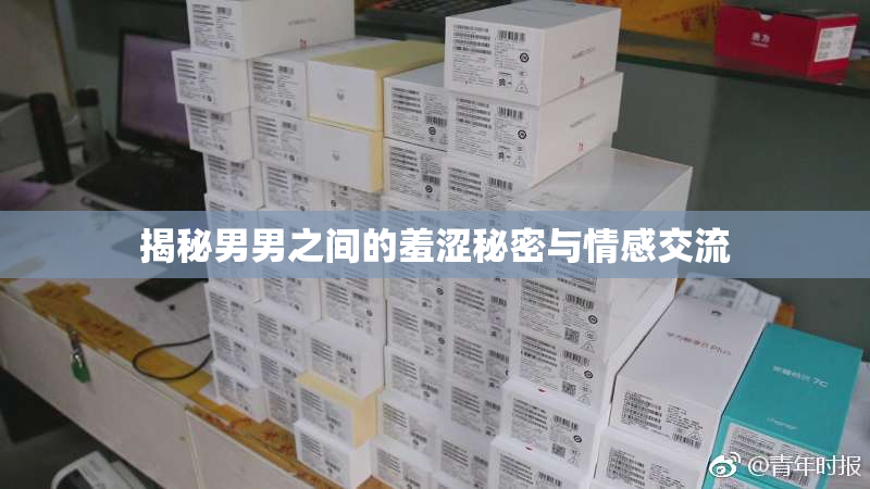 揭秘男男之间的羞涩秘密与情感交流