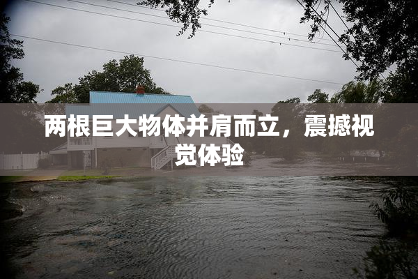 两根巨大物体并肩而立，震撼视觉体验