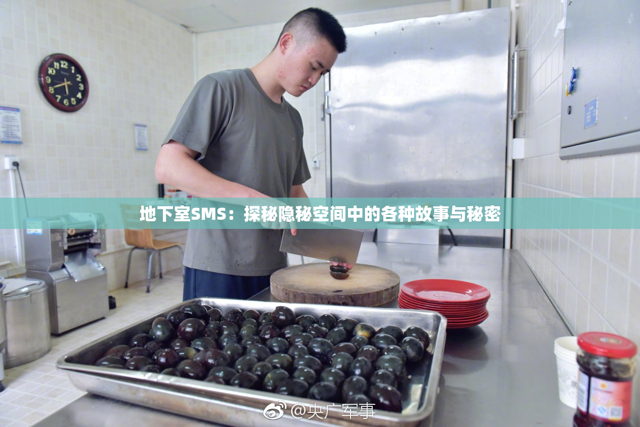 地下室SMS：探秘隐秘空间中的各种故事与秘密