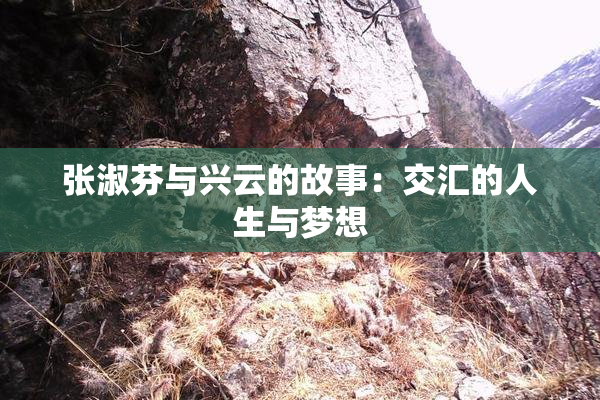 张淑芬与兴云的故事：交汇的人生与梦想