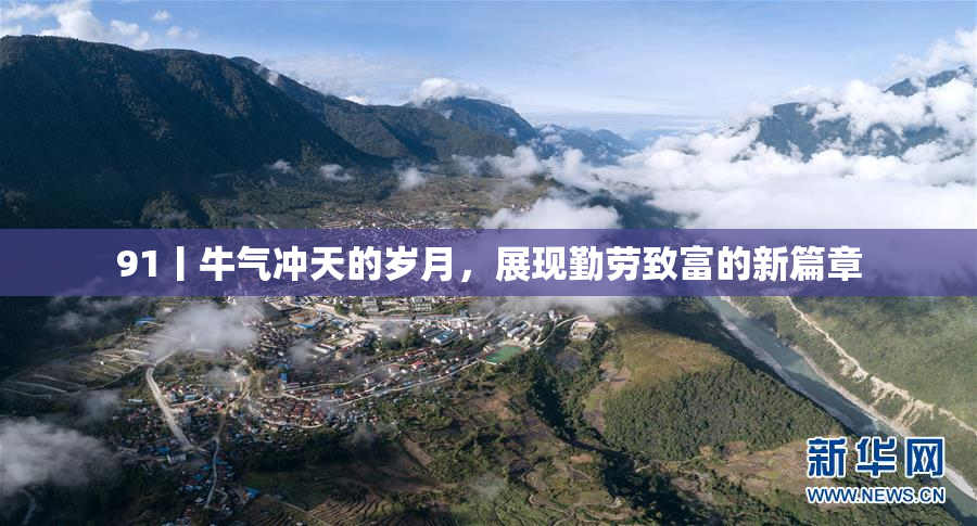 91丨牛气冲天的岁月，展现勤劳致富的新篇章