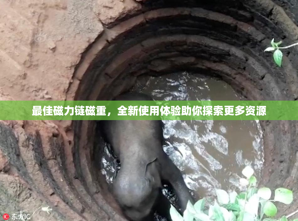最佳磁力链磁重，全新使用体验助你探索更多资源
