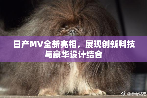 日产MV全新亮相，展现创新科技与豪华设计结合