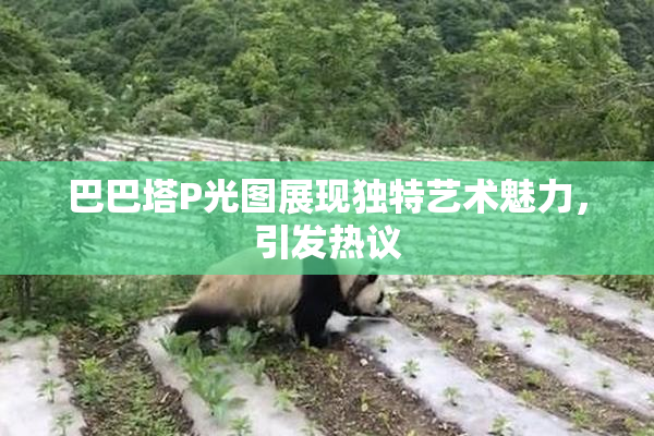 巴巴塔P光图展现独特艺术魅力，引发热议