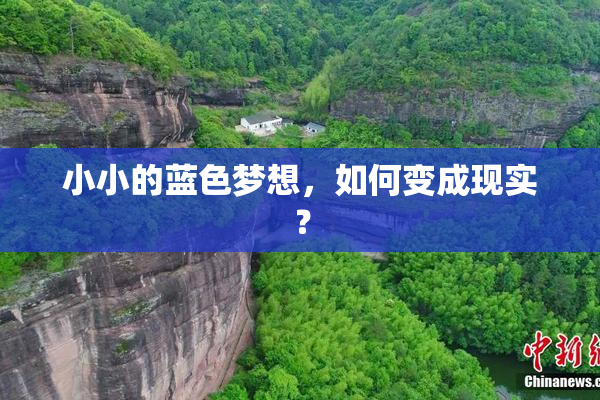 小小的蓝色梦想，如何变成现实？