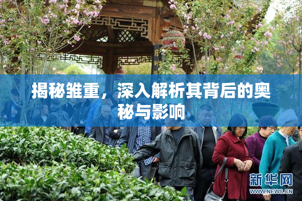 揭秘雏重，深入解析其背后的奥秘与影响