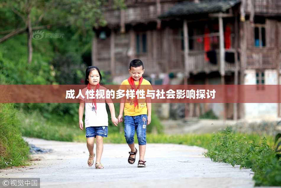 成人性视的多样性与社会影响探讨