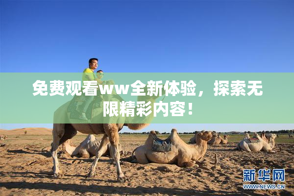 免费观看ww全新体验，探索无限精彩内容！