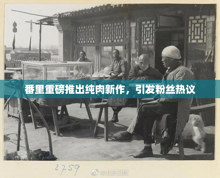番里重磅推出纯肉新作，引发粉丝热议
