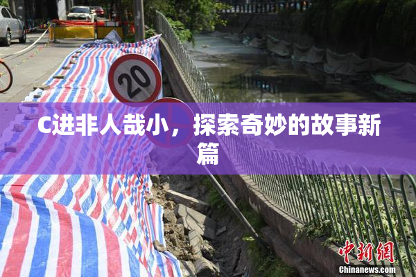 C进非人哉小，探索奇妙的故事新篇