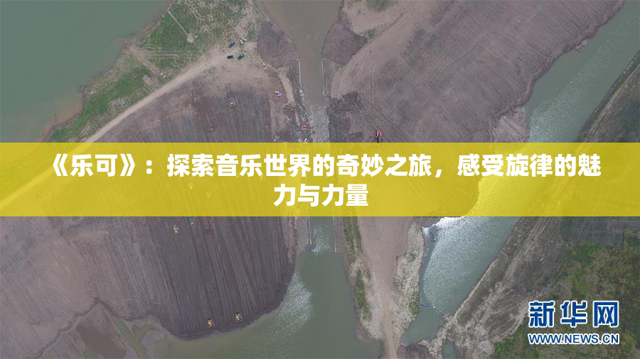 《乐可》：探索音乐世界的奇妙之旅，感受旋律的魅力与力量