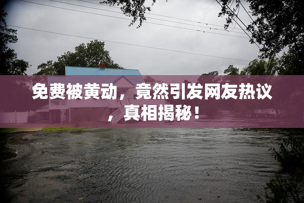 免费被黄动，竟然引发网友热议，真相揭秘！