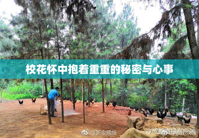 校花怀中抱着重重的秘密与心事