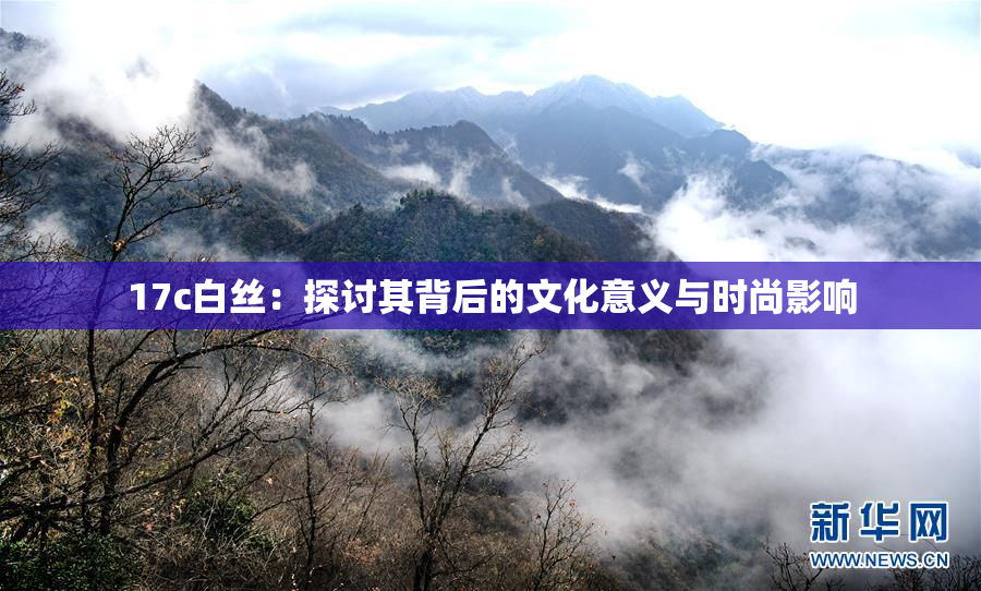 17c白丝：探讨其背后的文化意义与时尚影响