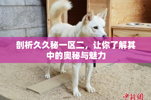 剖析久久秘一区二，让你了解其中的奥秘与魅力