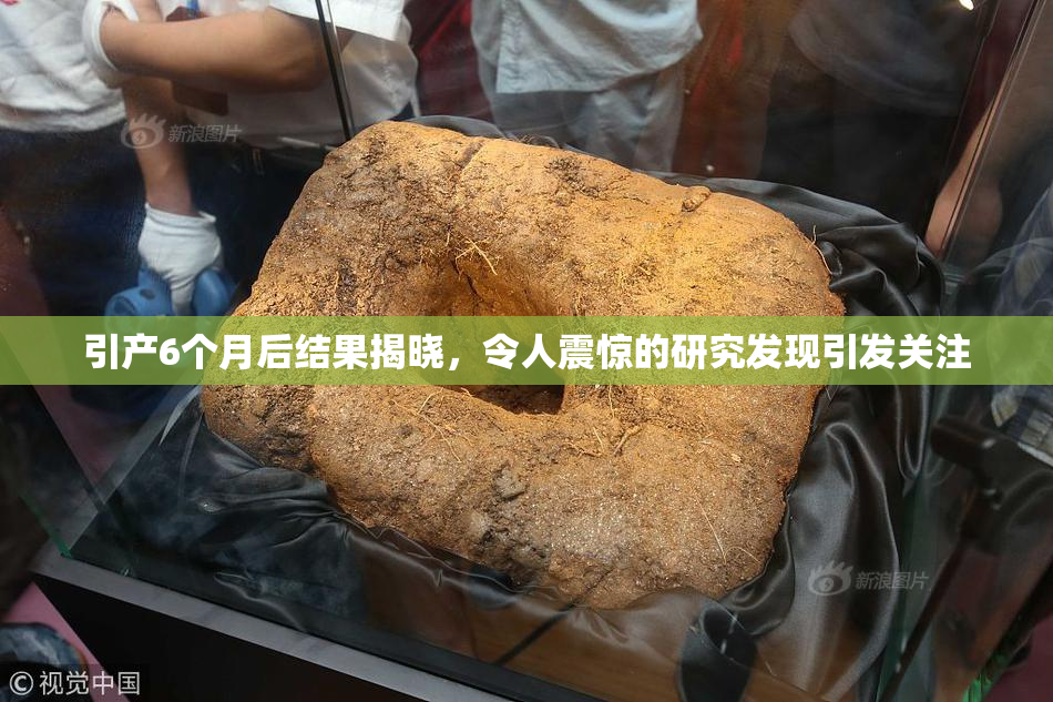 引产6个月后结果揭晓，令人震惊的研究发现引发关注