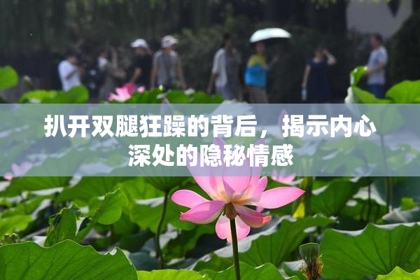 扒开双腿狂躁的背后，揭示内心深处的隐秘情感