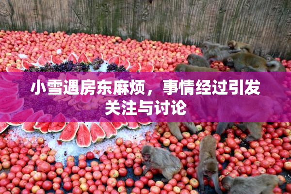 小雪遇房东麻烦，事情经过引发关注与讨论