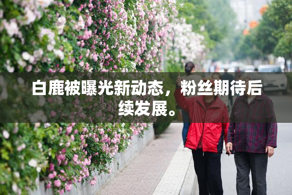 白鹿被曝光新动态，粉丝期待后续发展。