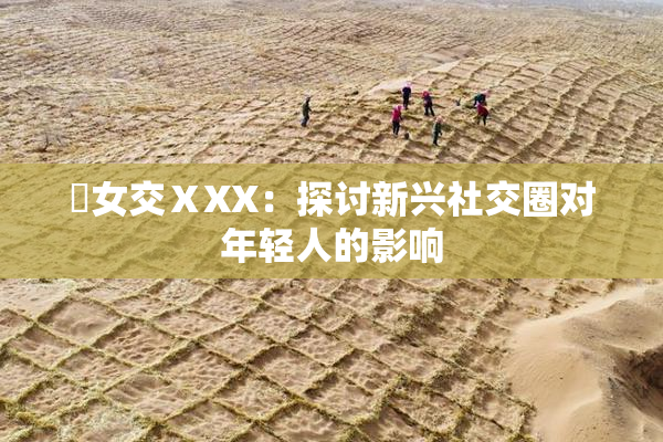 乣女交ⅩXX：探讨新兴社交圈对年轻人的影响