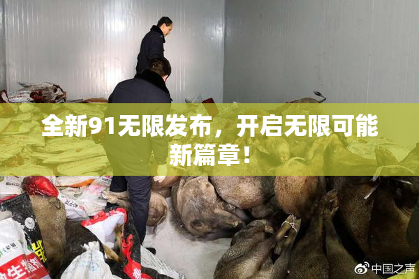 全新91无限发布，开启无限可能新篇章！