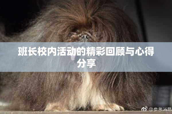 班长校内活动的精彩回顾与心得分享