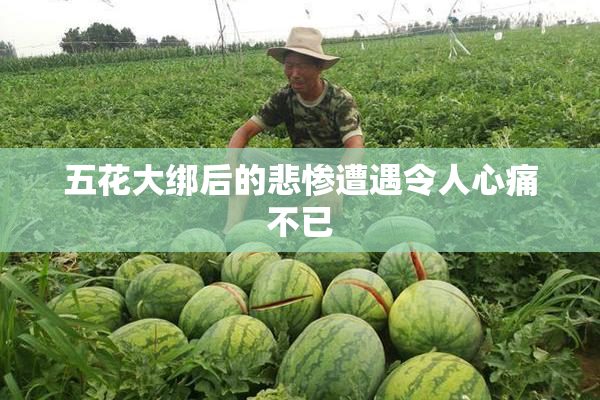 五花大绑后的悲惨遭遇令人心痛不已