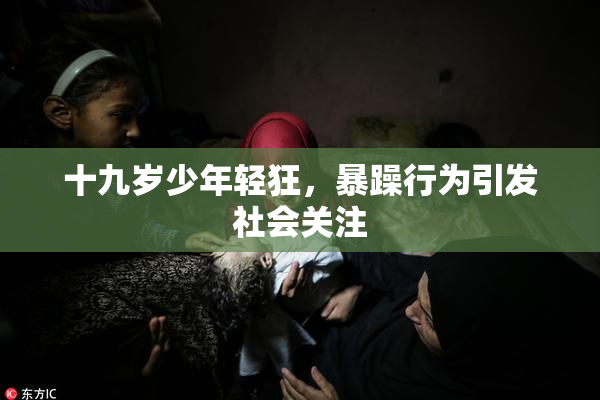 十九岁少年轻狂，暴躁行为引发社会关注