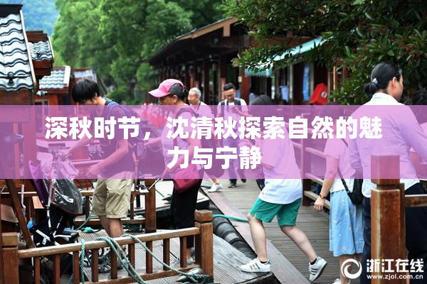 深秋时节，沈清秋探索自然的魅力与宁静