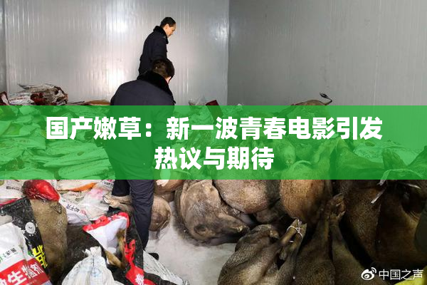 国产嫩草：新一波青春电影引发热议与期待