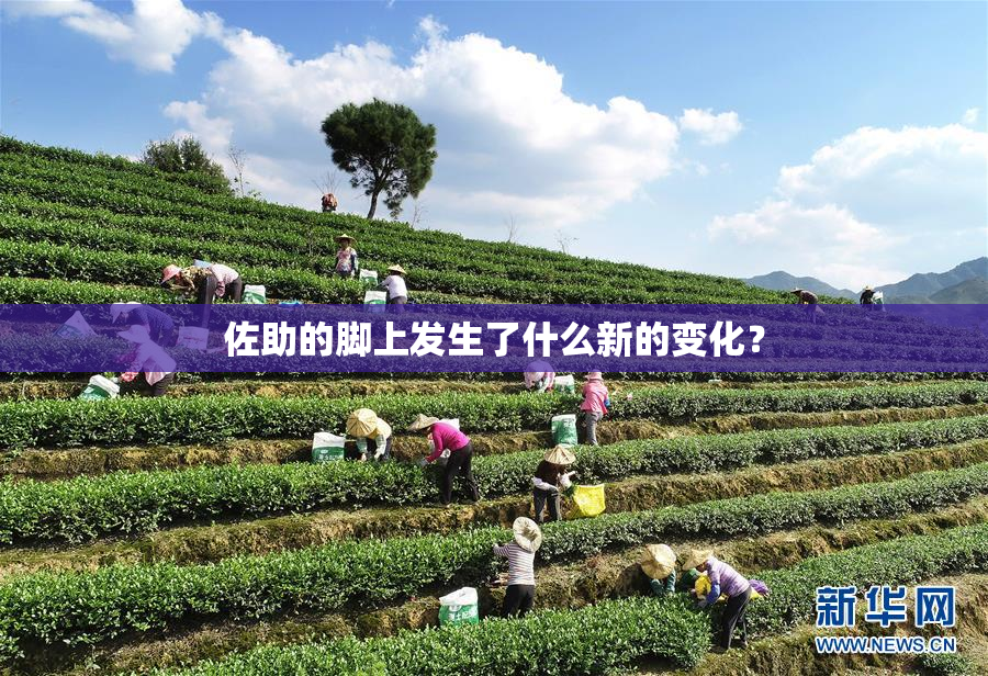 佐助的脚上发生了什么新的变化？