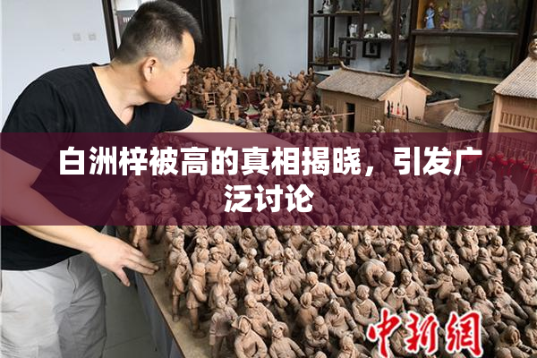 白洲梓被高的真相揭晓，引发广泛讨论